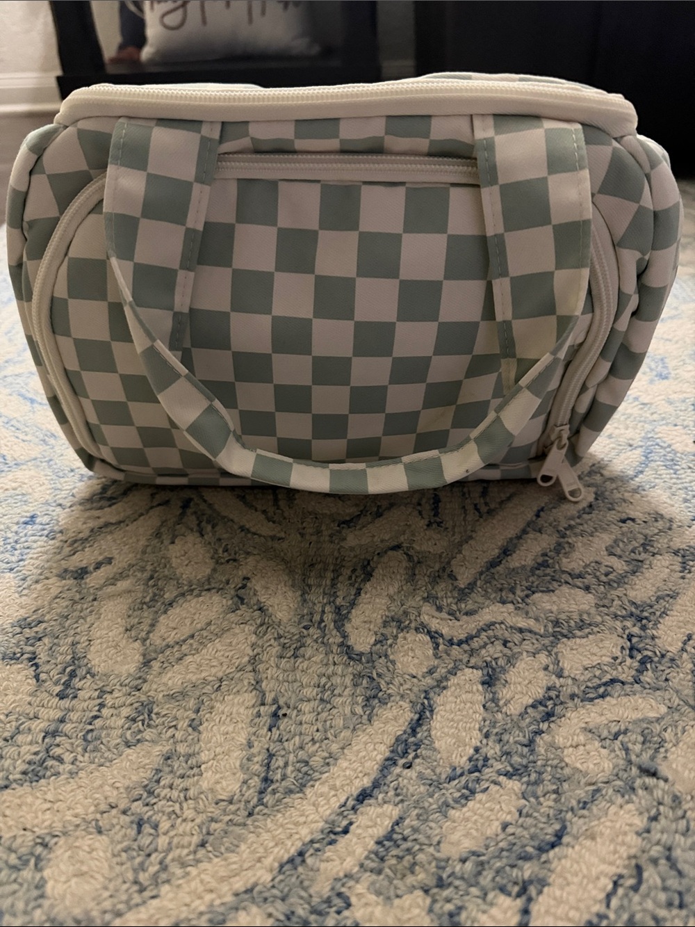 Checkerboard Cosmetic Travel Bag in Sage and White - Brand Unspecified